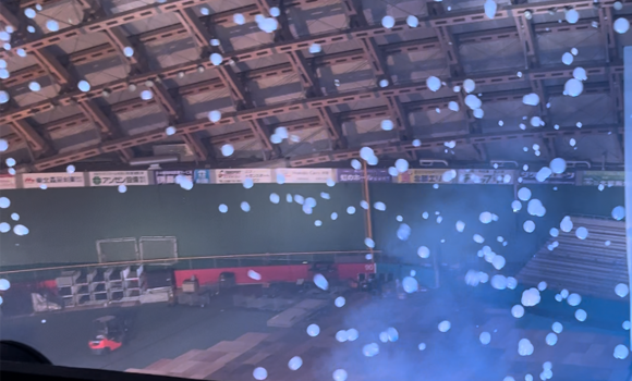 ����ܥ�β���